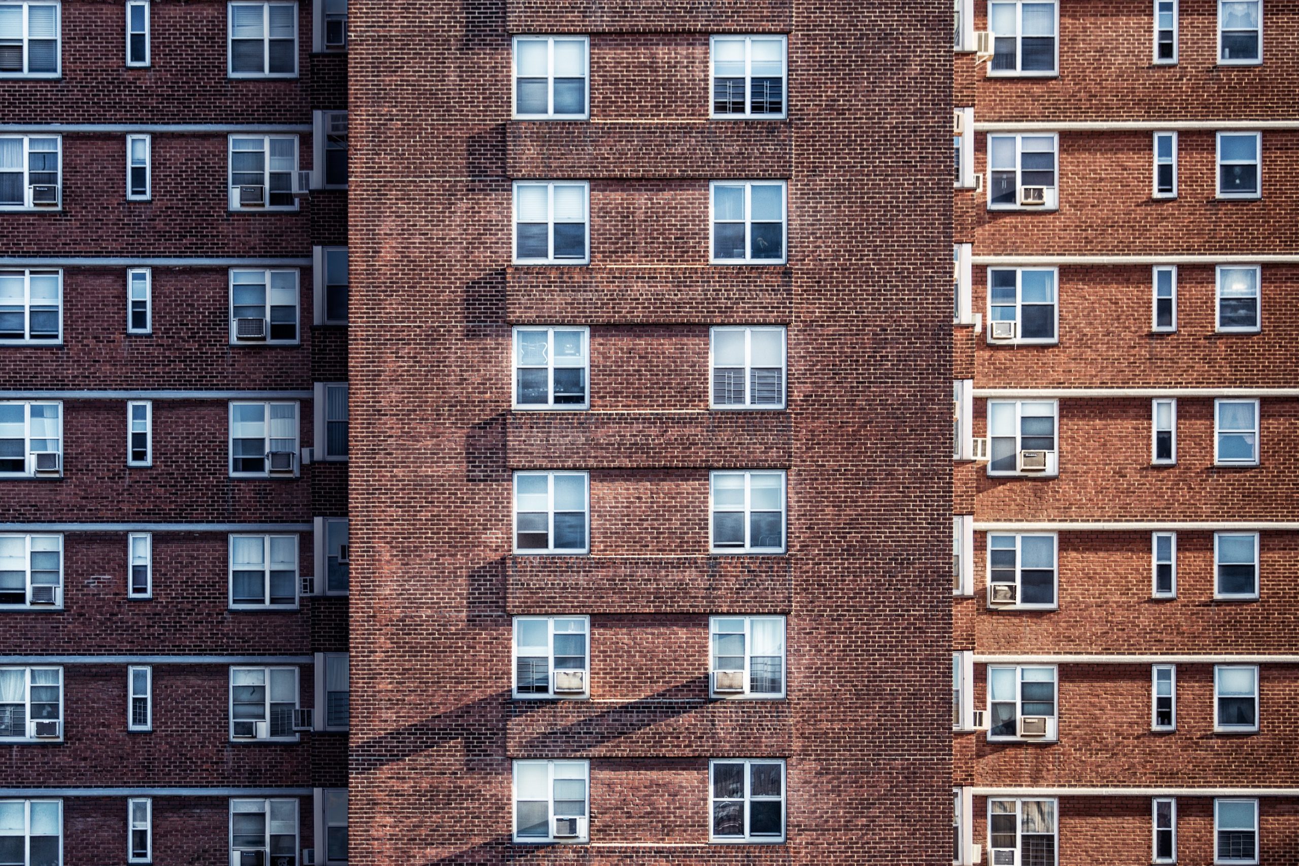 pexels-vladimir-kudinov-36366
